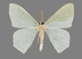 AZ26-0182V